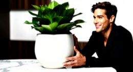 10 Best Large Ceramic Planters in 2026