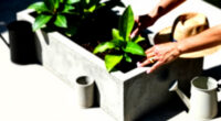 6 Best Large Outdoor Planters Modern in 2026