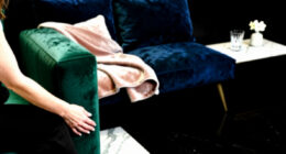 6 Best Velvet Sofas in 2026